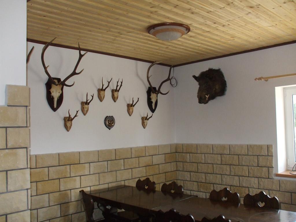 Penzion Pohoda Jetřichovice エクステリア 写真